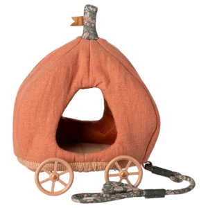 CARROSSE CITROUILLE