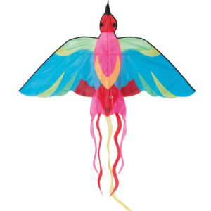CERF VOLANT OISEAU